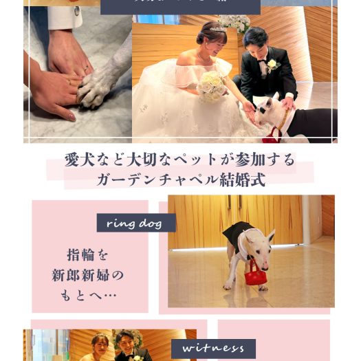 【無料オプション】～大切なペットと一緒～ペットウエディング