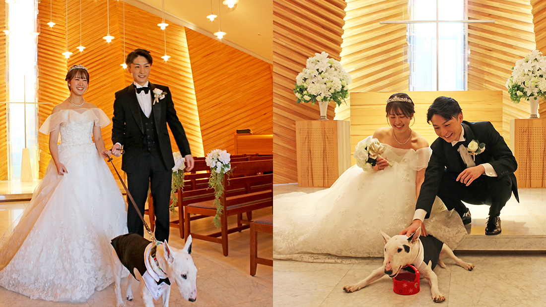 ペットウエディング